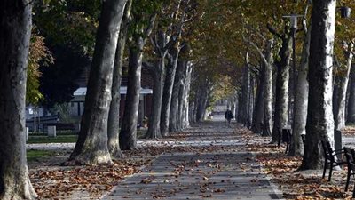 الأرصاد الجوية تعلن موعد بدء فصل الخريف رسميًا لعام 2024