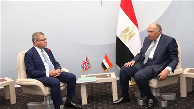 وزير الخارجية يستقبل رئيس الدورة 26 لـ COP27