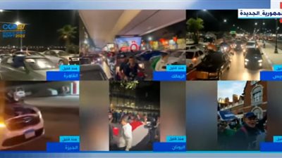 بعد دعوات 11-11 الفاشلة.. مسيرات في أوروبا ومحافظات مصرية داعمة للدولة والرئيس السيسي