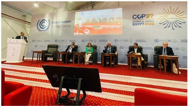 جانب من الفعاليات