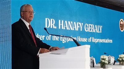 رئيس مجلس النواب بقمة المناخ: شعوبنا قلقة على مستقبلها وعلينا إنقاذ البيئة من الطريق المظلم