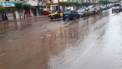 هطول أمطار متوسطة على الإسكندرية