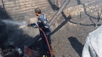 نفوق عدد من الحيوانات في حريق اندلع بحوش للماشية بسوهاج.. والحماية المدنية تسيطر على النيران | صور