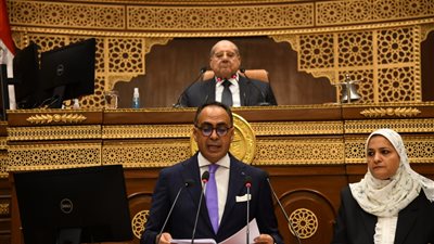 رئيس اقتصادية الشيوخ: مد العمل بالحوافز الاستثمارية لـ 2029 بالقانون الجديد