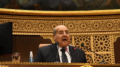 عضو الشيوخ: هيئة الاستثمار فاشلة.. ورئيس المجلس يحذفها من المضبطة