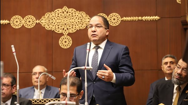 النائب عادل اللمعي