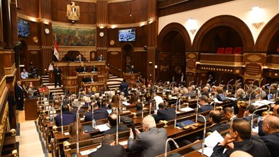 بحضور ممثلي الحكومة.. اقتصادية الشيوخ تناقش تشجيع الاستثمار الأجنبي المباشر اليوم