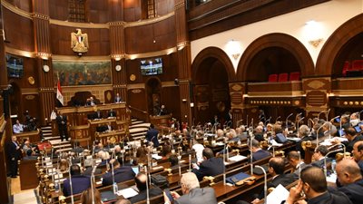 تمويل مصروفات التعليم الجامعي بالجامعات الأهلية والخاصة تتصدر مناقشات تعليم الشيوخ.. غدًا