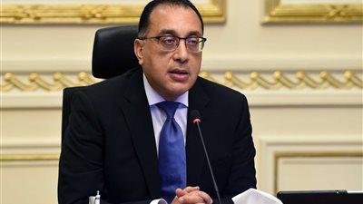 لجنة حكومية لدراسة وفحص إشكاليات قانون منح بعض التيسيرات للمصريين المقيمين في الخارج