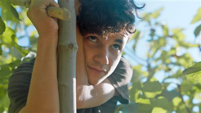 الفائز بالتانيت الفضي في أيام قرطاج السينمائية.. عرض فيلم تحت الشجرة بالمهرجان الدولي للفيلم بمراكش