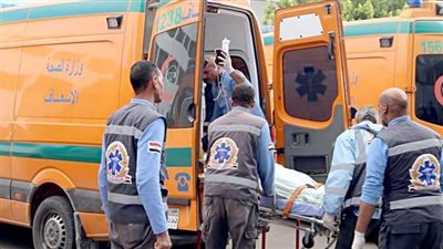 كسور وكدمات.. تفاصيل إصابة 6 أشخاص سقطت عليهم شجرة في البحيرة | بث مباشر