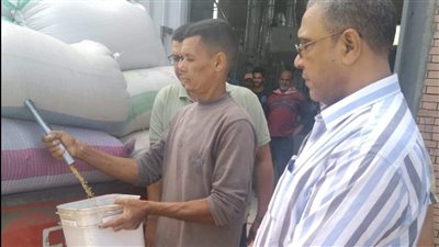 منذ بداية الموسم.. توريد نحو 310 أطنان أرز شعير لمضرب الشرق الأوسط ببورسعيد