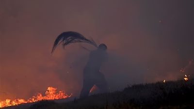 ديلي ميل: حرائق الغابات في أمريكا تسبب موجة من النوبات القلبية والسرطان 