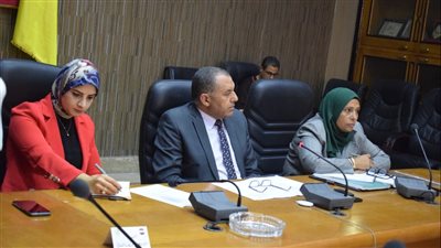 اللجنة العليا للسكان بشمال سيناء توصي بتجميع الخطط السكانية ومراعاة التخصص والتركيز على التوعية