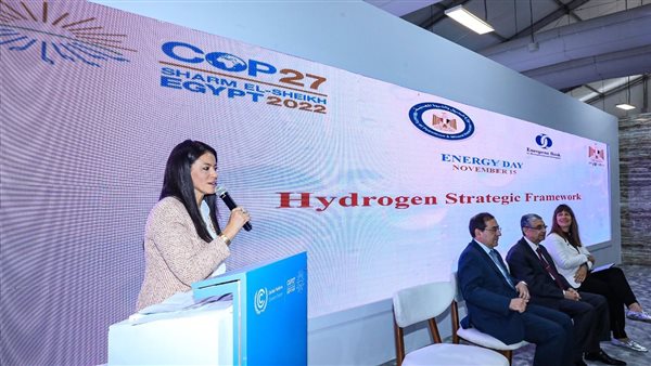 رانيا المشاط وزيرة