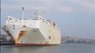 تفريغ 5575 رأس ماشية حية وشحن 2280 طن زجاج من ميناء غرب بورسعيد | صور 