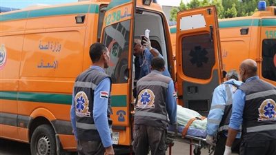 ننشر أسماء مصابي حادث انقلاب سيارة بالطريق الصحراوي الغربي في المنيا