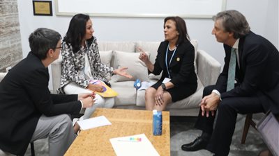 القومي للمرأة يناقش مع ممثلي الأمم المتحدة سبل التعاون في ملف المرأة والتغير المناخي