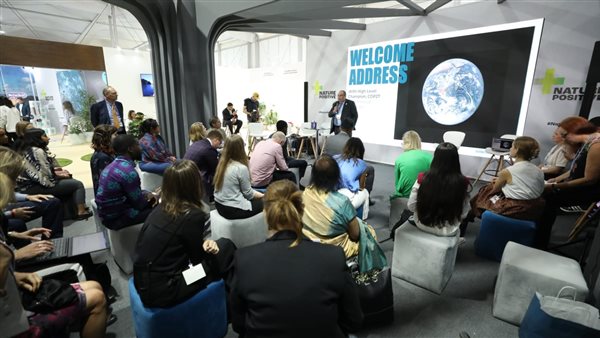 محمود محيي الدين