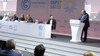 محمود محيي الدين: ضرورة تفعيل آليات خفض الديون ومبادلتها بالاستثمار في الطبيعة