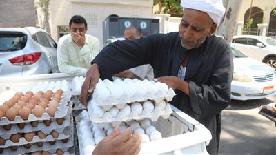 بعد رفع سعر الفائدة 3 %.. كيف تؤثر قرارات البنك المركزي على سعر البيض في الأسواق؟