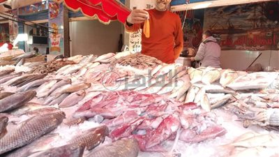 أسعار الأسماك في الأسواق اليوم الأربعاء 28 يونيو 2023