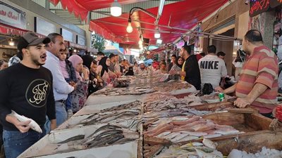  أسعار الأسماك في مصر اليوم الجمعة 27 يناير 2023