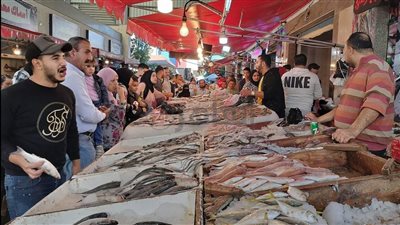  أسعار الأسماك اليوم الخميس 26 يناير 2023