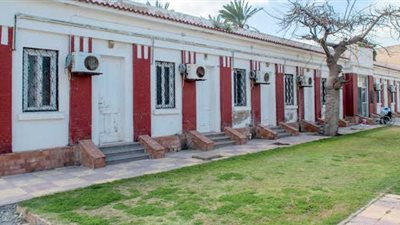 حميات الإسكندرية تبدأ تشغيل عيادات مسائية بتخصصي أورام الجهاز الهضمي والتغذية العلاجية