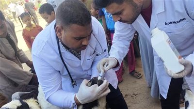 اليوم انطلاق فعاليات الحملة القومية لتحصين الثروة الحيوانية بلقاحي الحمى القلاعية في أسوان