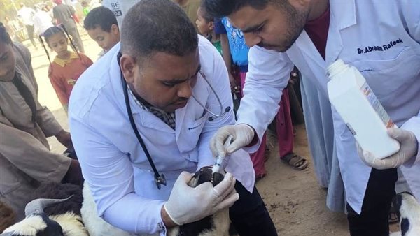 التحصين ضد الحمي