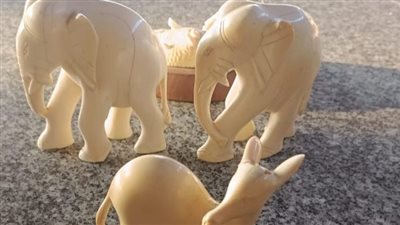 محظور تداولها.. جمارك الصادرات تضبط محاولة تهريب 3 تماثيل من العاج