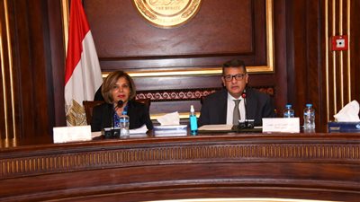 حقوق النواب تعقد لقاء مع المجلس القومي لحقوق الإنسان.. ومشيرة خطاب: نقلة نوعية نحو تنفيذ الاستراتيجية الوطنية