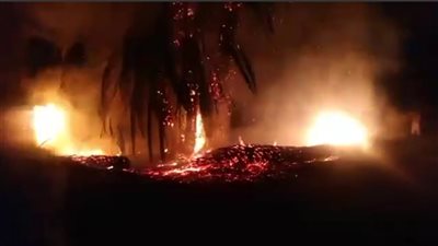 اندلاع حريق في زراعات النخيل بـ إبريم بأسوان.. والحماية المدنية تسيطر