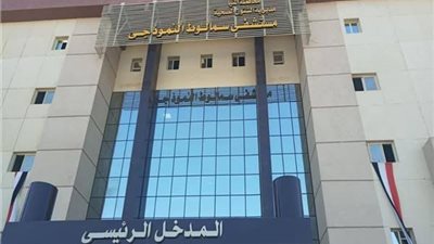 انقلاب سيارة ربع نقل بصحراوي المنيا وإصابة 9 عمال| أسماء