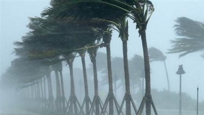 رياح وأمطار.. الأرصاد تكشف الظواهر الجوية المتوقعة حتى الخميس المقبل | بث مباشر