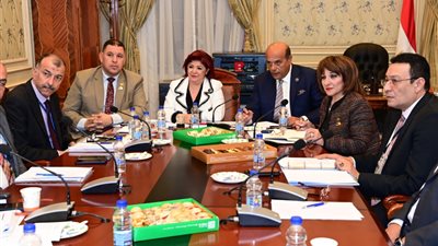 أبرزها تحريك الأسعار وفقا لارتفاع الدولار.. توصيات برلمانية للحكومة بشأن تذاكر الطيران الداخلي