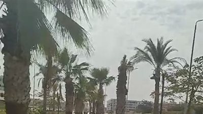 توقعات بسقوط أمطار.. البحر الأحمر ترفع حالة الطوارئ لمواجهة حالة الطقس | بث مباشر 