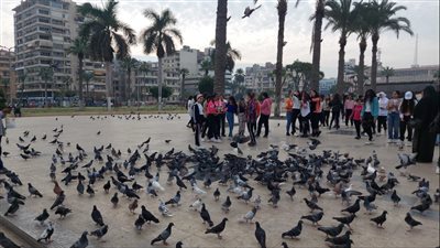 وسط انتشار حمام السلام.. الرحلات السياحية تتوافد على حديقة المسلة ببورسعيد| صور 