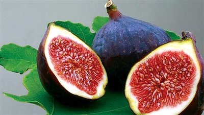 فوائد التين البرشومي للكبد.. السر في الورق