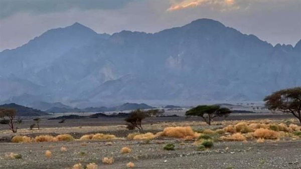 سقوط أمطار خفيفة