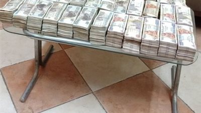 ضبط سيدة نصبت على المواطنين واستولت على 800 ألف جنيه بطنطا