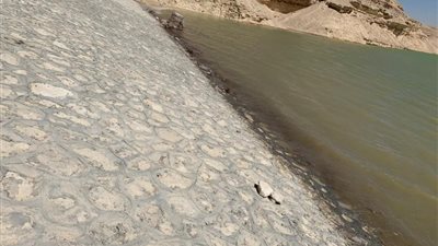 لجنة إيراد النهر: سدود وادي دجلة أنقذت مناطق المحمية وزهراء المعادي وطرة من الغرق