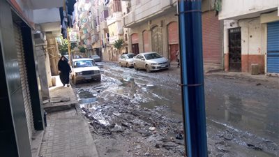 حقيقة الأقلام الرصاص العازلة على أعمدة الإنارة بمدينة دمنهور (صور)