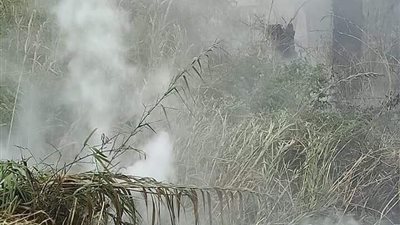 حريق هائل في أراضي “طرح النهر” بشبين الكوم (صور)