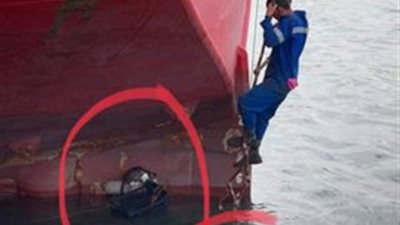 عمال ميناء دمياط ينقذون قطة من الغرق كانت عالقة أسفل السفينة (صور)