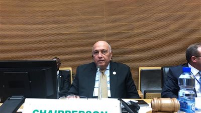 برئاسة وزير الخارجية.. اختتام أعمال اجتماعات المجلس التنفيذي للاتحاد الإفريقي