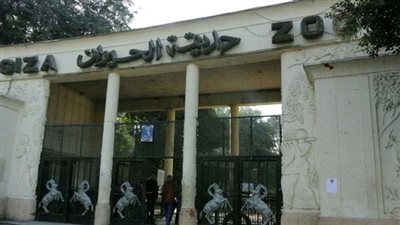 نصف مليون زائر لحديقة الحيوان خلال إجازة نصف العام