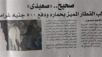 “الوطنية للصحافة” تستدعي رئيس تحرير “المساء” للتحقيق في واقعة الحمار