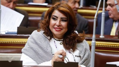 برلمانية: “حبيت بنت الجيران بعد التعديل.. وأدعو لزيادة الضرائب على مطربي المهرجانات”